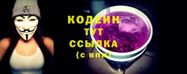 хмурый Ладушкин