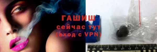 хмурый Ладушкин