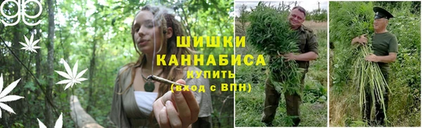 кокс Лабытнанги