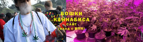 хмурый Ладушкин