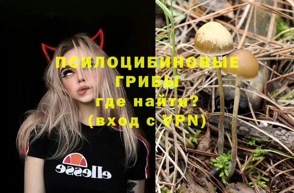 кокс Лабытнанги