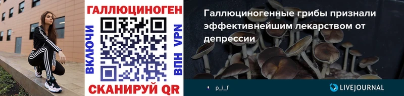 Псилоцибиновые грибы прущие грибы  Майский 