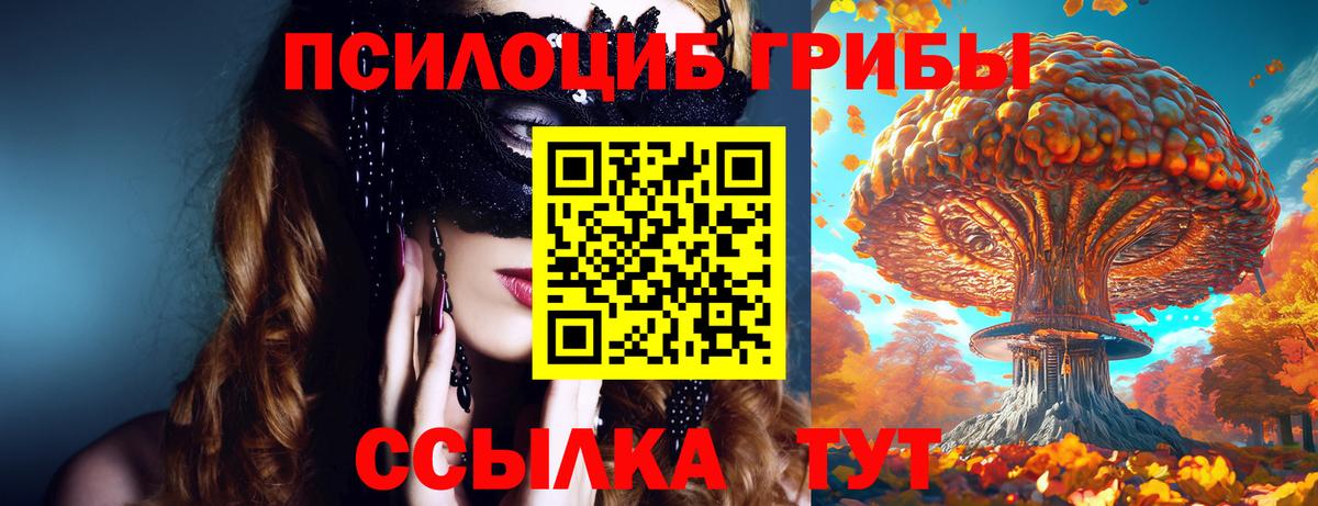 Галлюциногенные грибы Psilocybine cubensis Майский